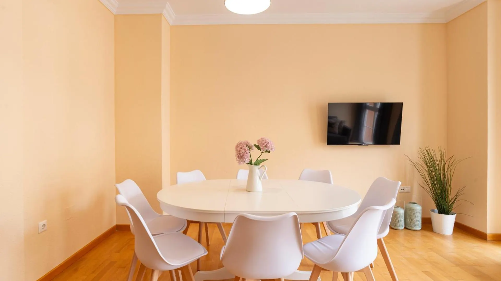 Teatro Plaza Apartments Malaga 0*,